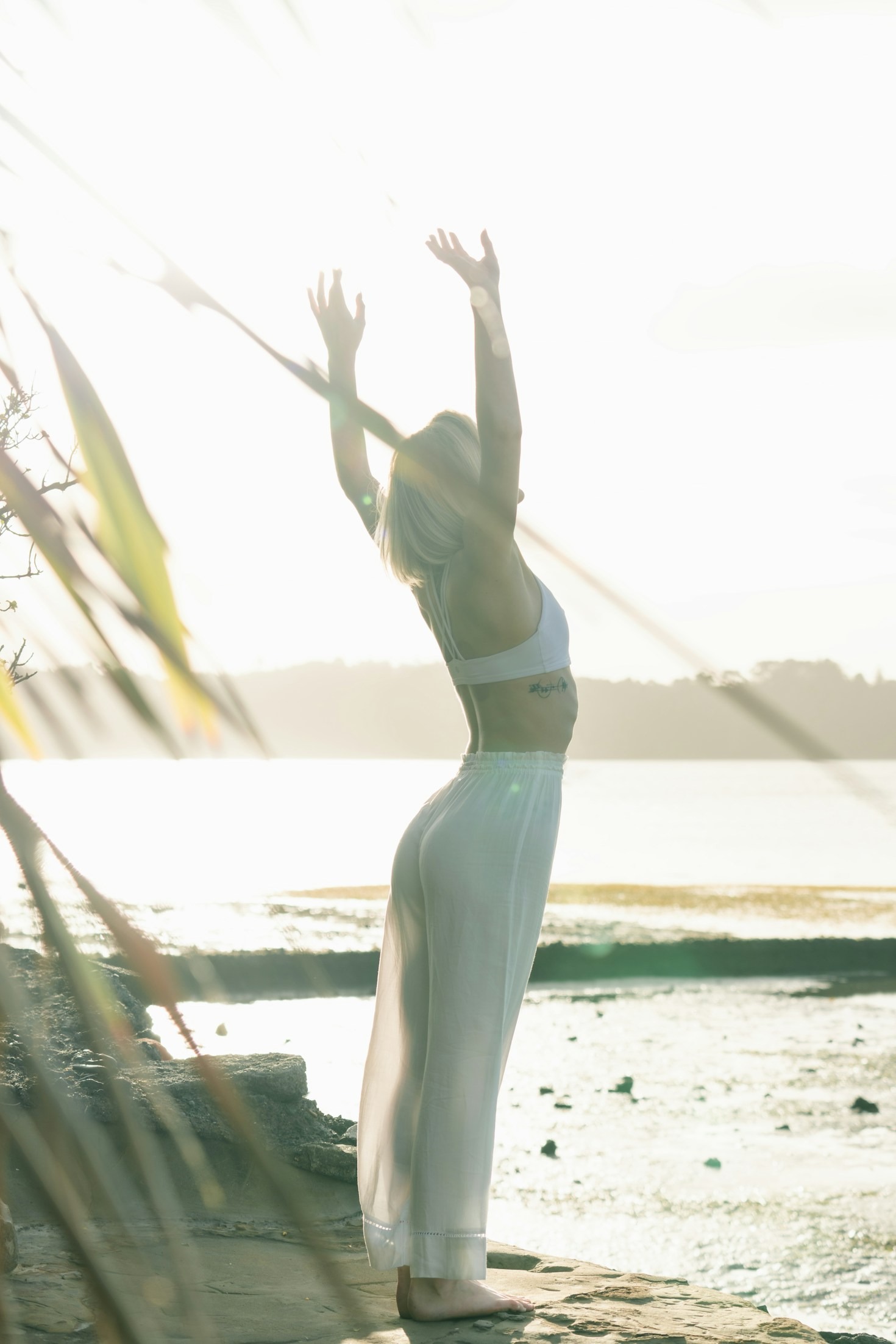Daily Routines for Stoic Mindfulness